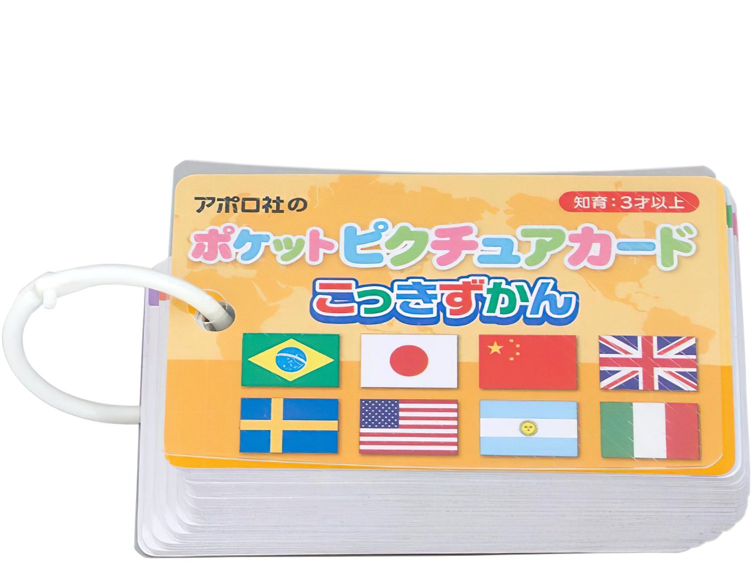 Apollo • Kids • National Flags　Pocket Picture Card
