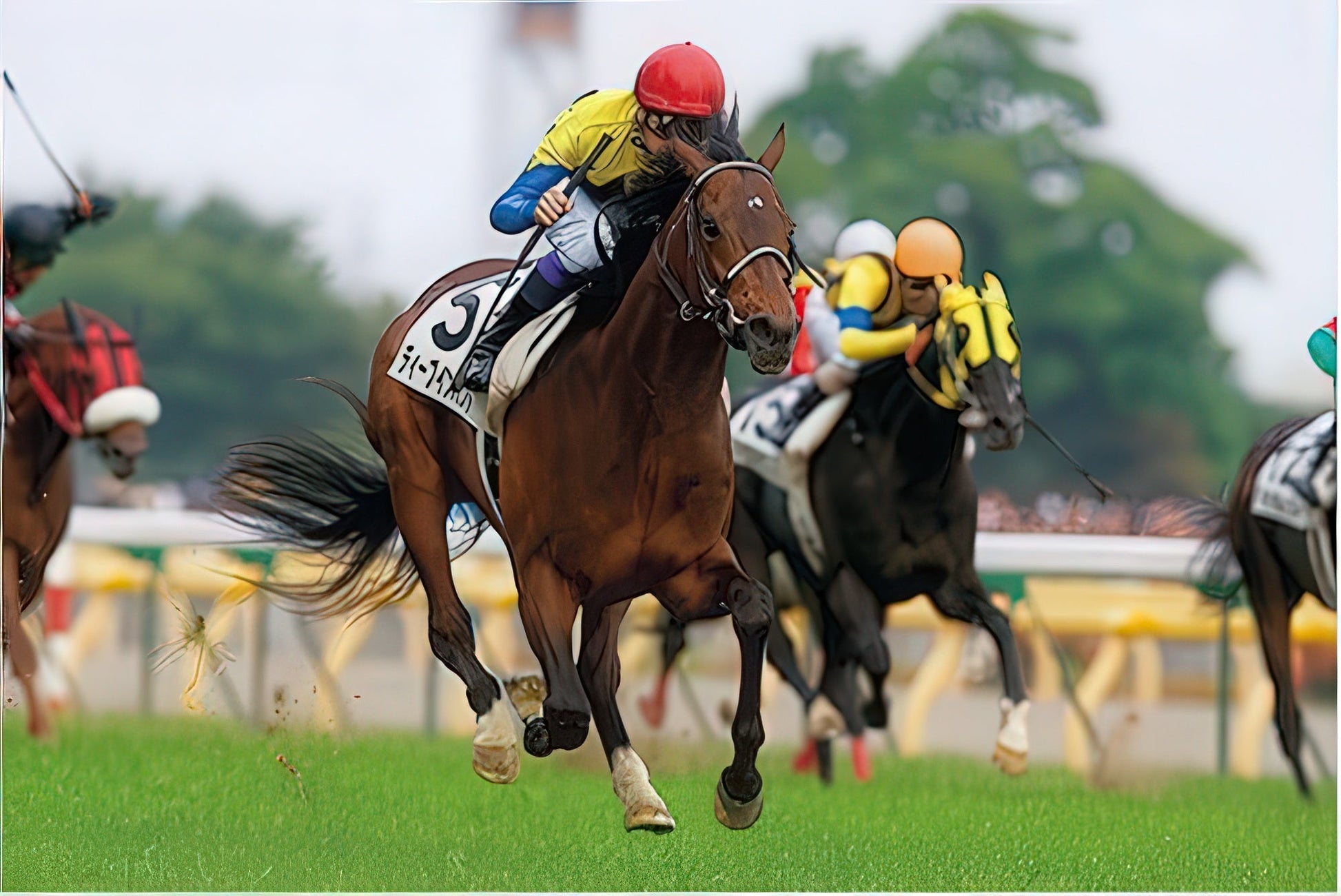 appleone-1000-485-deep-impact-'05-japan-derby-1000-pieces-jigsaw-puzzle