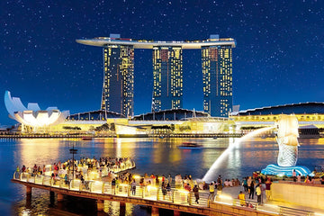 Appleone • Scenery • Starlight Singapore　1000 PCS　Jigsaw Puzzle