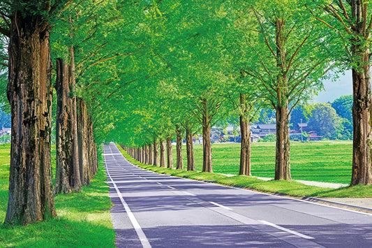 Appleone 1000-853　Scenery • Metasequoia Namiki Avenue　1000 Pieces Jigsaw Puzzle