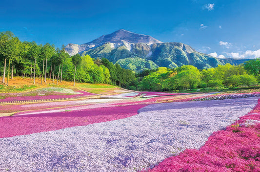 Appleone 1000-883　Scenery • Spring at Hitsujiyama Park　1000 Pieces Jigsaw Puzzle