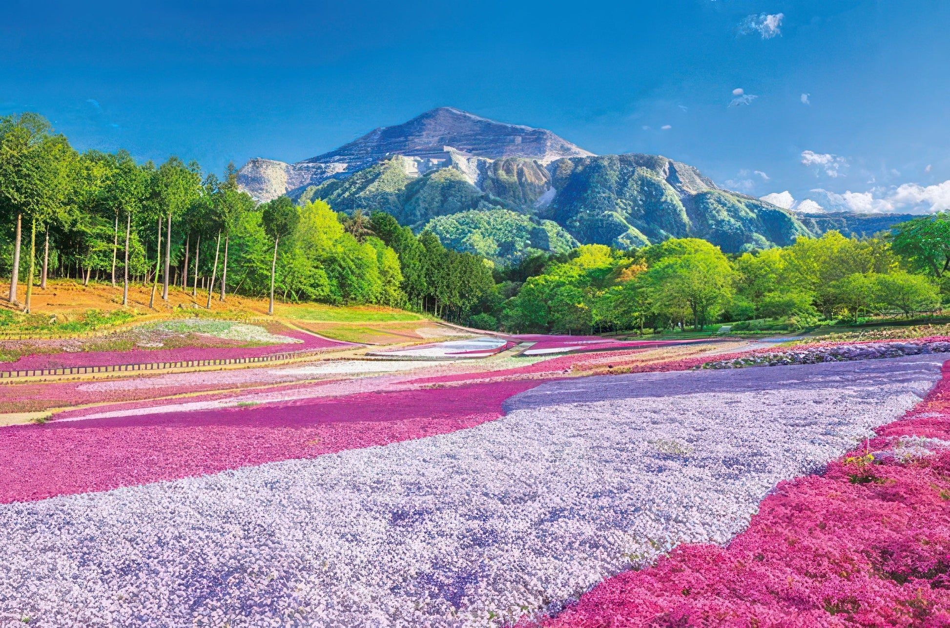 appleone-1000-883-scenery-spring-at-hitsujiyama-park-1000-pieces-jigsaw-puzzle