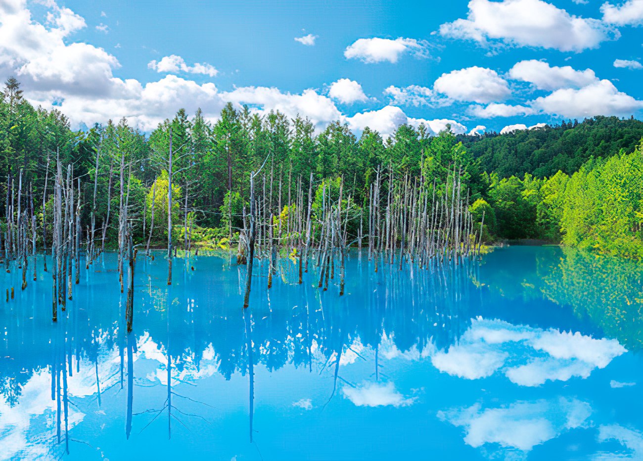 Appleone • Scenery • Shirogane Blue Pond, Biei　500 PCS　Jigsaw Puzzle