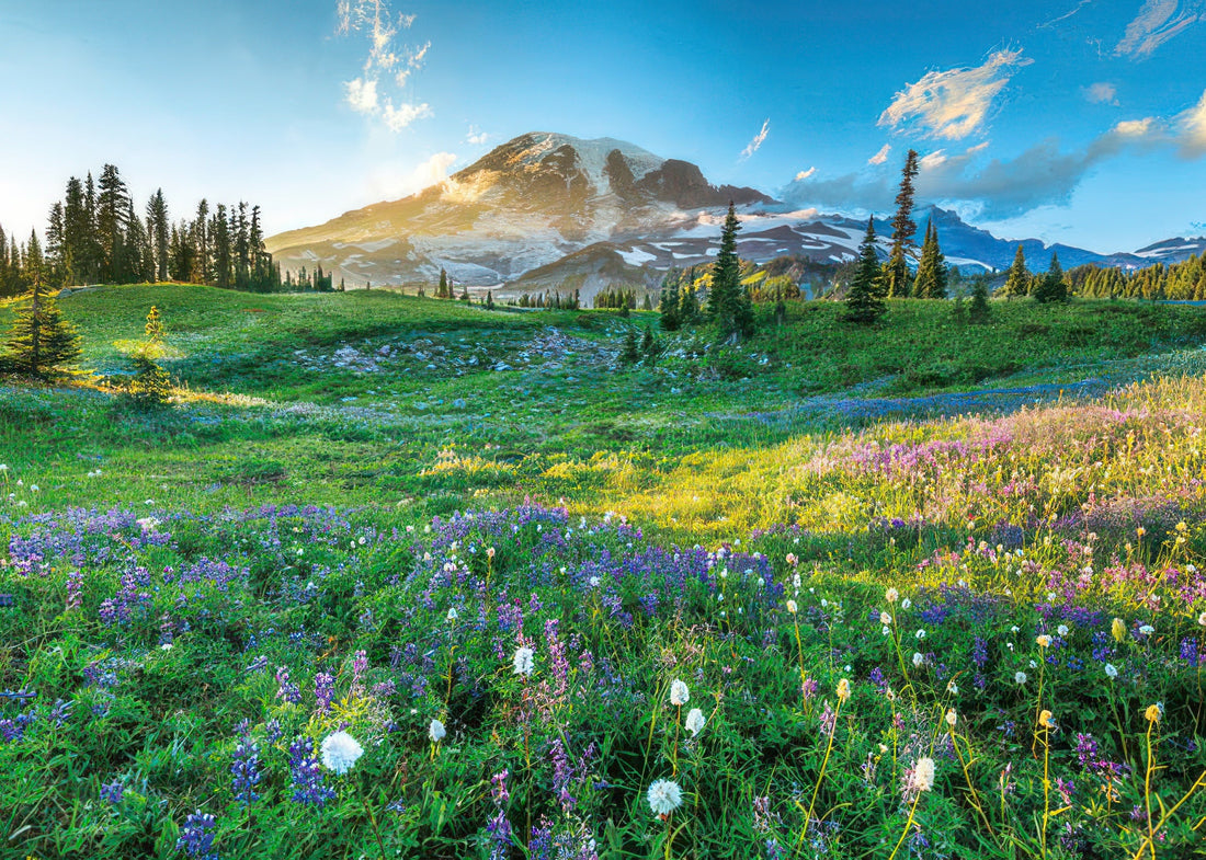 appleone-500-269-scenery-spring-at-mt-rainier-500-pieces-jigsaw-puzzle