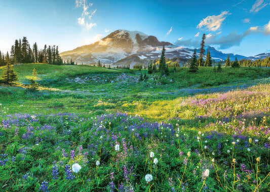 Appleone 500-269　Scenery • Spring at Mt. Rainier　500 Pieces Jigsaw Puzzle