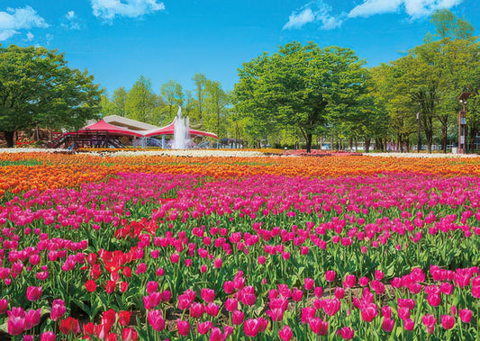 Appleone 500-290　Scenery • Tonami Tulip Park　500 Pieces Jigsaw Puzzle