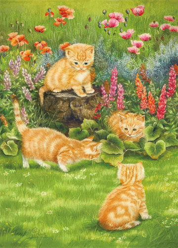 appleone-500-333-kitten-and-the-sunny-garden-500-pieces-jigsaw-puzzle