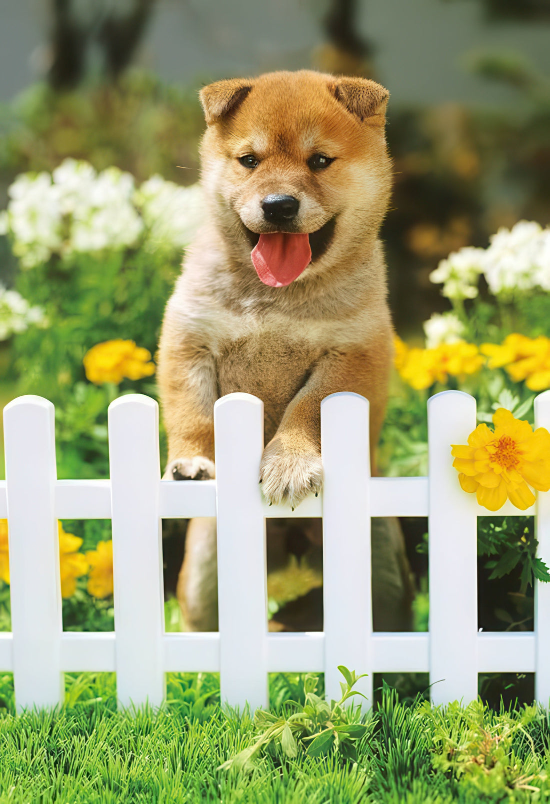 appleone-88-105-let's-play,-woof!-88-pieces-kids-puzzle