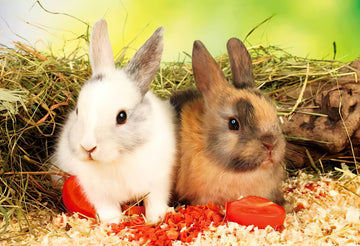 Appleone • Rabbit • We are Vegetarian　88 PCS　Jigsaw Puzzle