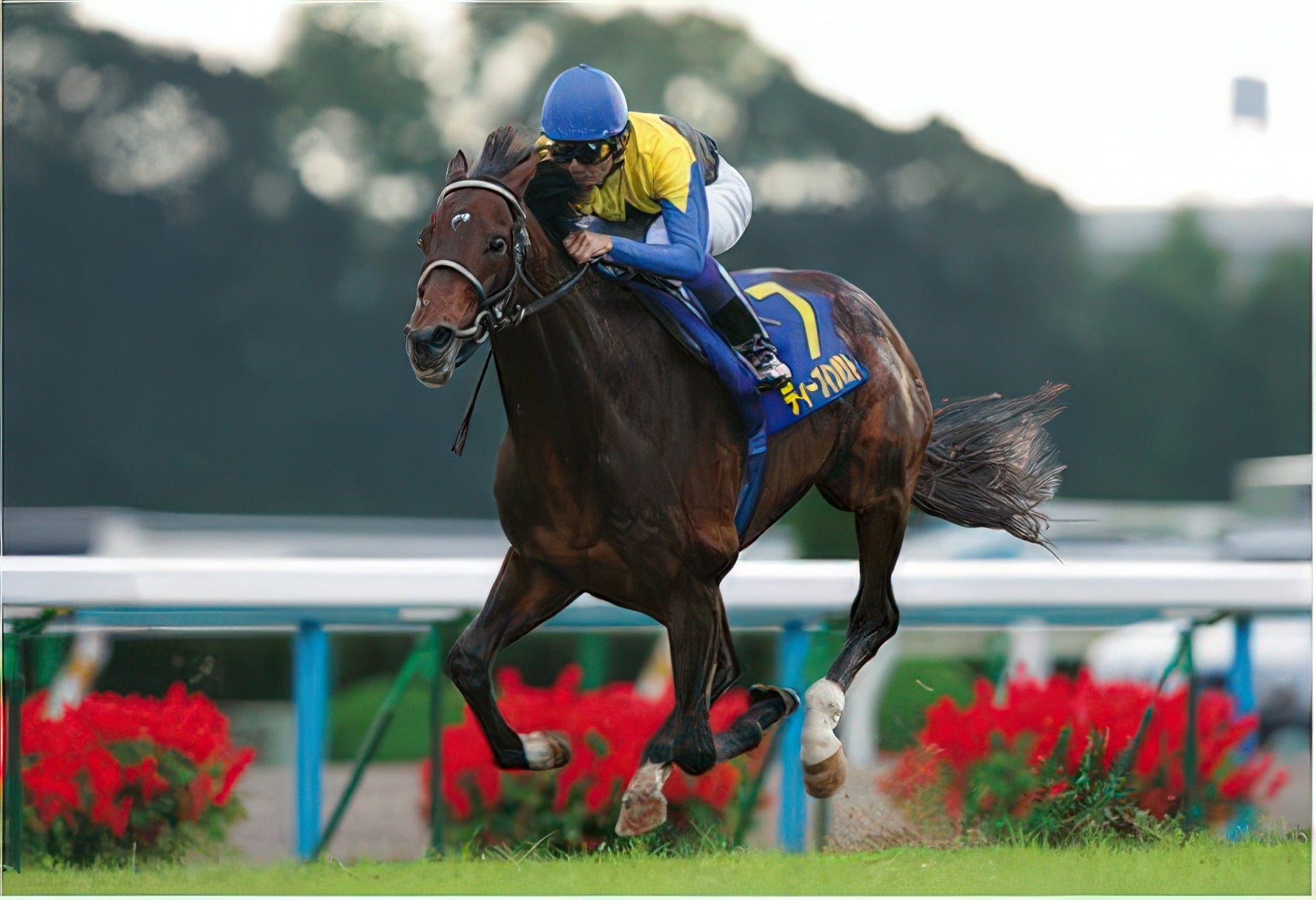 appleone-z002-deep-impact-'05-kikuka-sho-300-pieces-jigsaw-puzzle