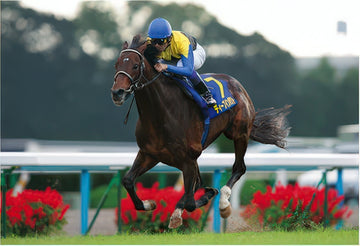 appleone-z002-deep-impact-'05-kikuka-sho-300-pieces-jigsaw-puzzle