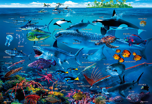Beverly â€¢ Animal â€¢ Let's Learn Sea Creatures!ã€€100 PCSã€€Jigsaw Puzzle
