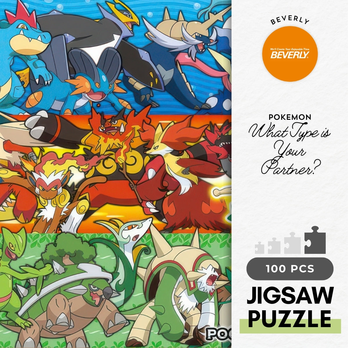 beverly-100-030-pokemon-what-type-is-your-partner-100-pieces-jigsaw-puzzle