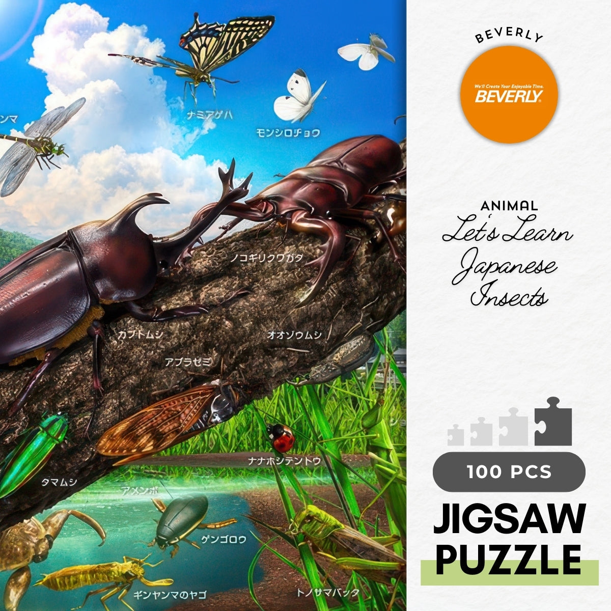 beverly-100-034-animal-let-s-learn-japanese-insects-100-pieces-jigsaw-puzzle