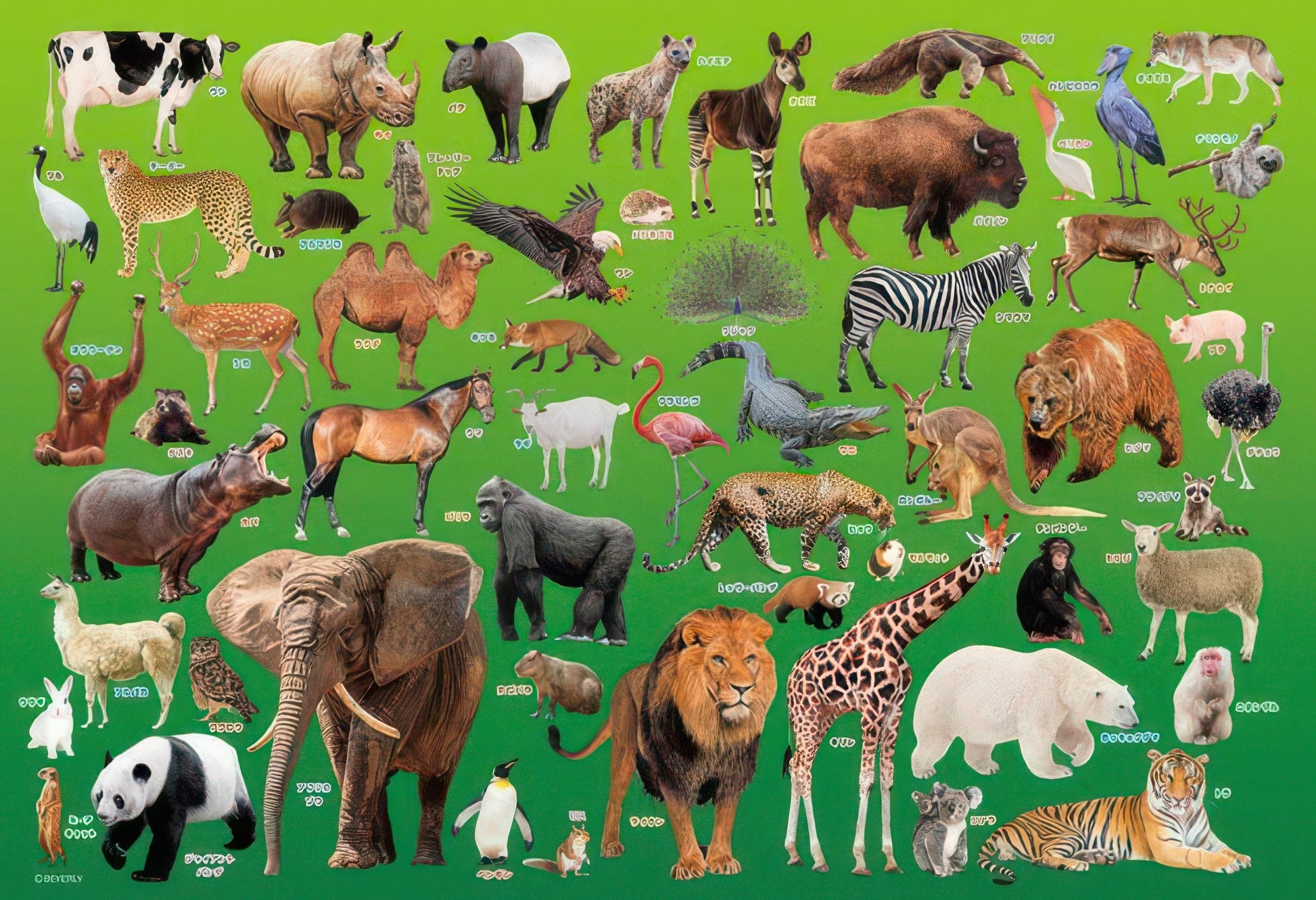 beverly-100-041-animal-zoo-100-pieces-jigsaw-puzzle