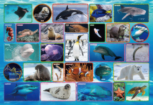 Beverly 100-042　Animal • Aquarium　100 Pieces Jigsaw Puzzle