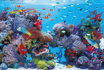 beverly-31-386-animal-marine-aquarium-1000-pieces-jigsaw-puzzle