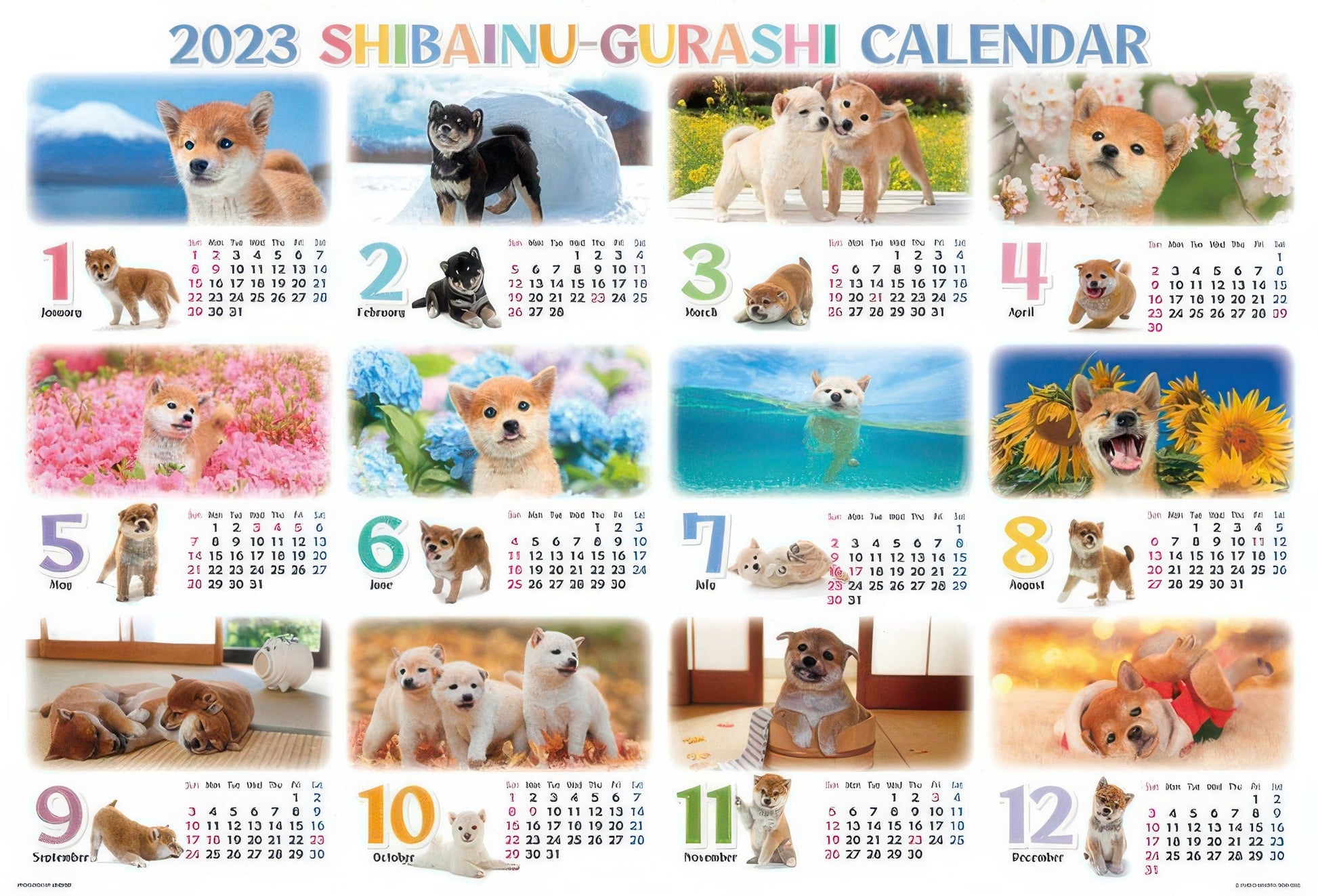 beverly-31-542-animal-calendar-2023-shiba-inu-life-1000-pieces-jigsaw-puzzle