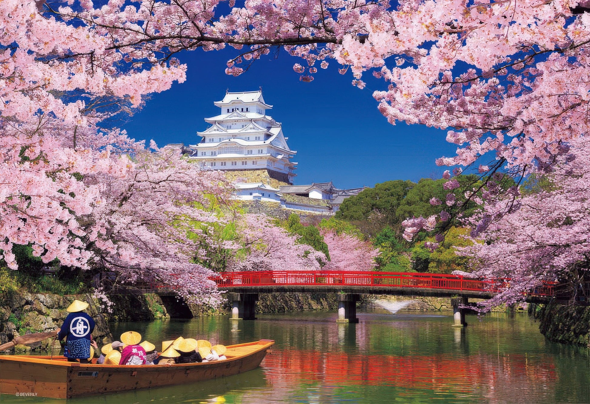 beverly-33-132-scenery-cherry-blossoms-at-himeji-castle-300-pieces-jigsaw-puzzle