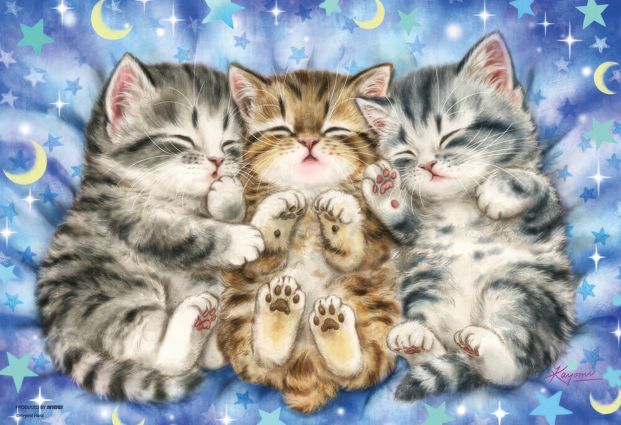 beverly-33-137-goodnight-300-pieces-jigsaw-puzzle