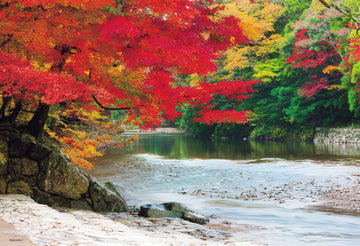 beverly-33-159-scenery-isuzu-river-in-autumn-and-ise-jingu-300-pieces-jigsaw-puzzle