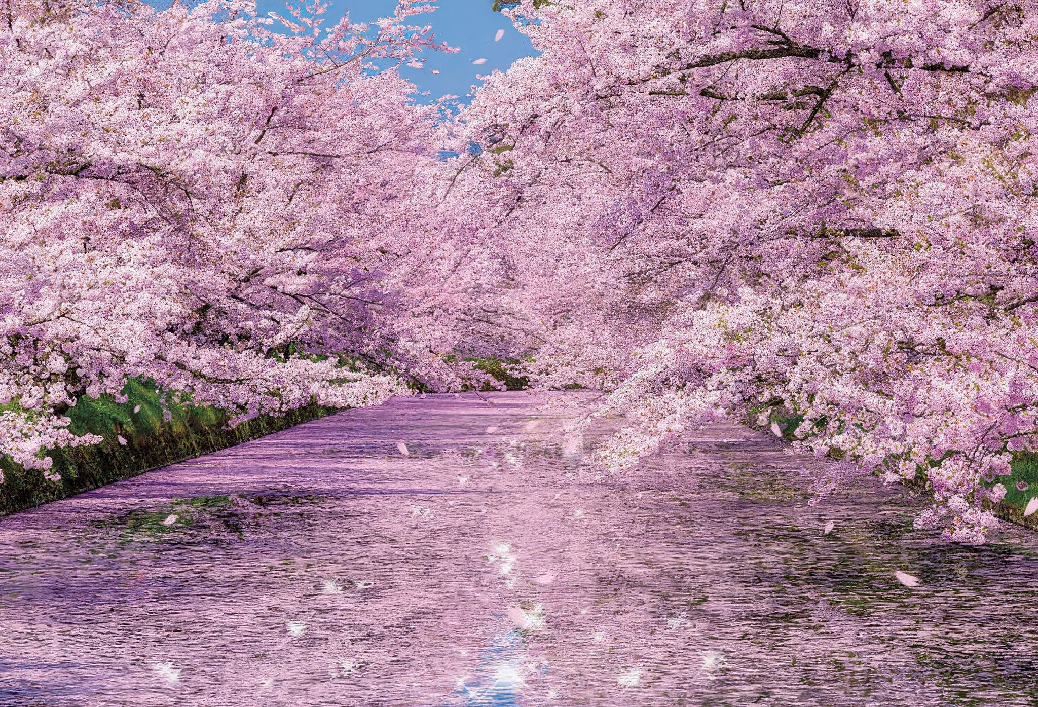 beverly-33-184-scenery-cherry-blossoms-at-hirosaki-park-300-pieces-jigsaw-puzzle