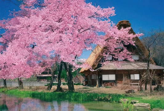 Beverly 51-191　Scenery • Spring Breeze at Shirakawa-go　1000 Pieces Jigsaw Puzzle