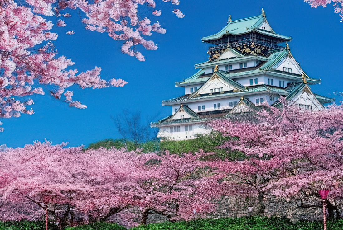 beverly-51-192-scenery-osaka-castle-in-full-bloom-spring-1000-pieces-jigsaw-puzzle