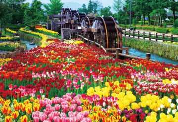 beverly-51-198-scenery-five-wheel-turbine-tulip-park-1000-pieces-jigsaw-puzzle