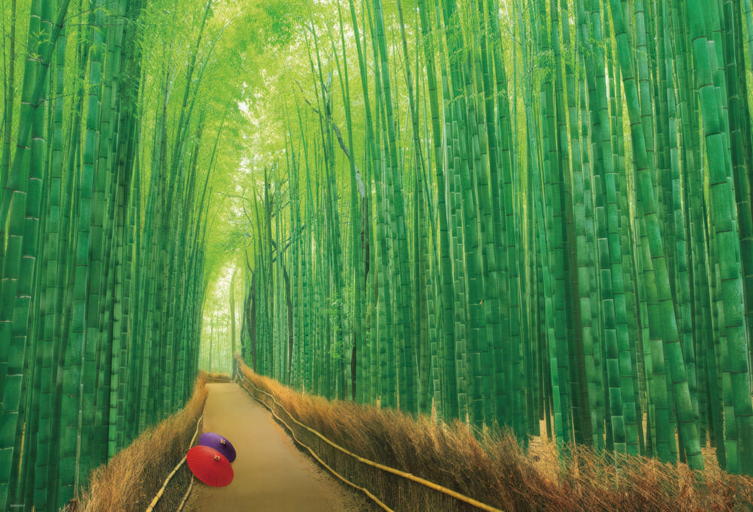 beverly-51-229-scenery-sagano-bamboo-grove-1000-pieces-jigsaw-puzzle