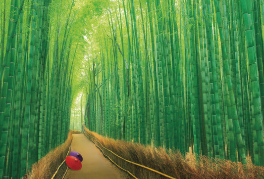 Beverly 51-229　Scenery • Sagano Bamboo Grove　1000 Pieces Jigsaw Puzzle