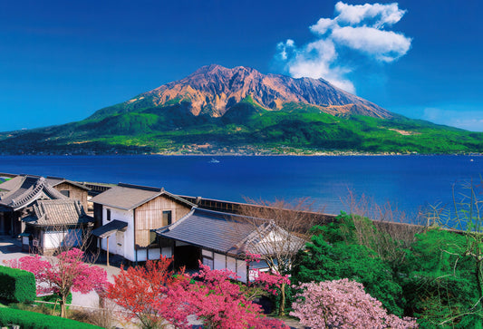 Beverly 51-237　Scenery • Sengan-en Overlooking Sakurajima　1000 Pieces Jigsaw Puzzle