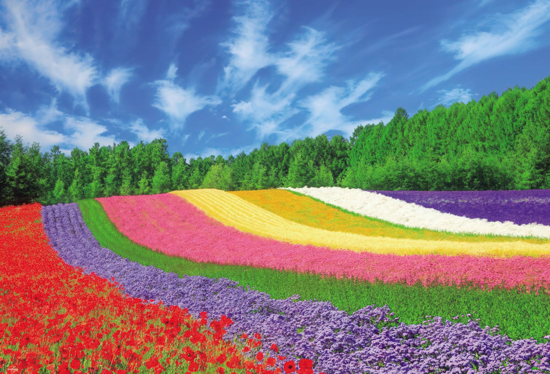 beverly-51-244-furano-flower-hill-1000-pieces-jigsaw-puzzle