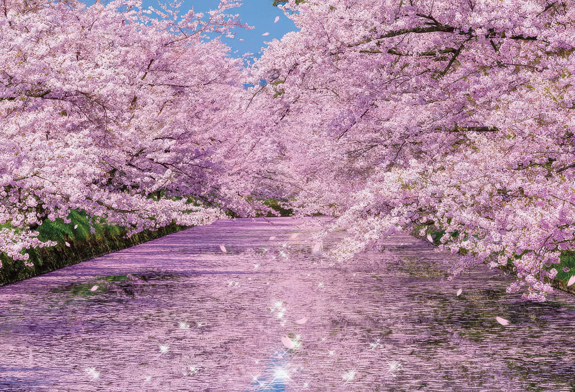 beverly-51-251-scenery-cherry-blossoms-at-hirosaki-park-1000-pieces-jigsaw-puzzle