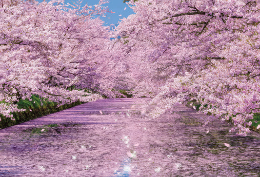 Beverly 51-251　Scenery • Cherry Blossoms at Hirosaki Park　1000 Pieces Jigsaw Puzzle