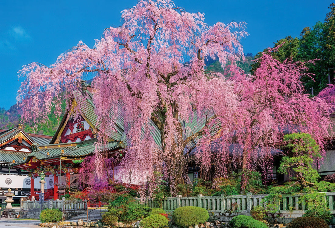 beverly-51-252-weeping-cherry-blossoms-at-kuon-ji-temple-1000-pieces-jigsaw-puzzle