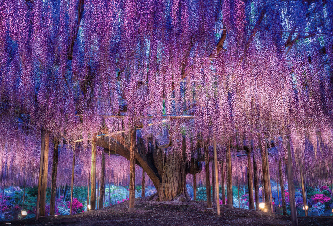 beverly-51-262-wisteria-flower-fantasy-1000-pieces-jigsaw-puzzle