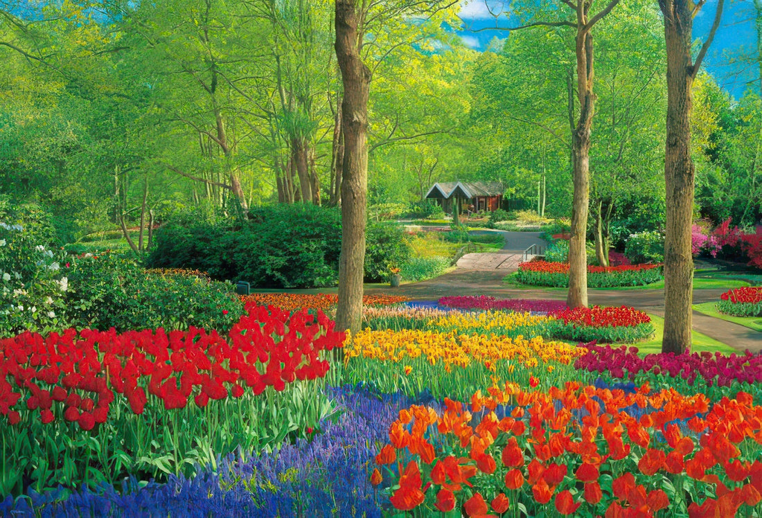 beverly-51-269-keukenhof-park-1000-pieces-jigsaw-puzzle