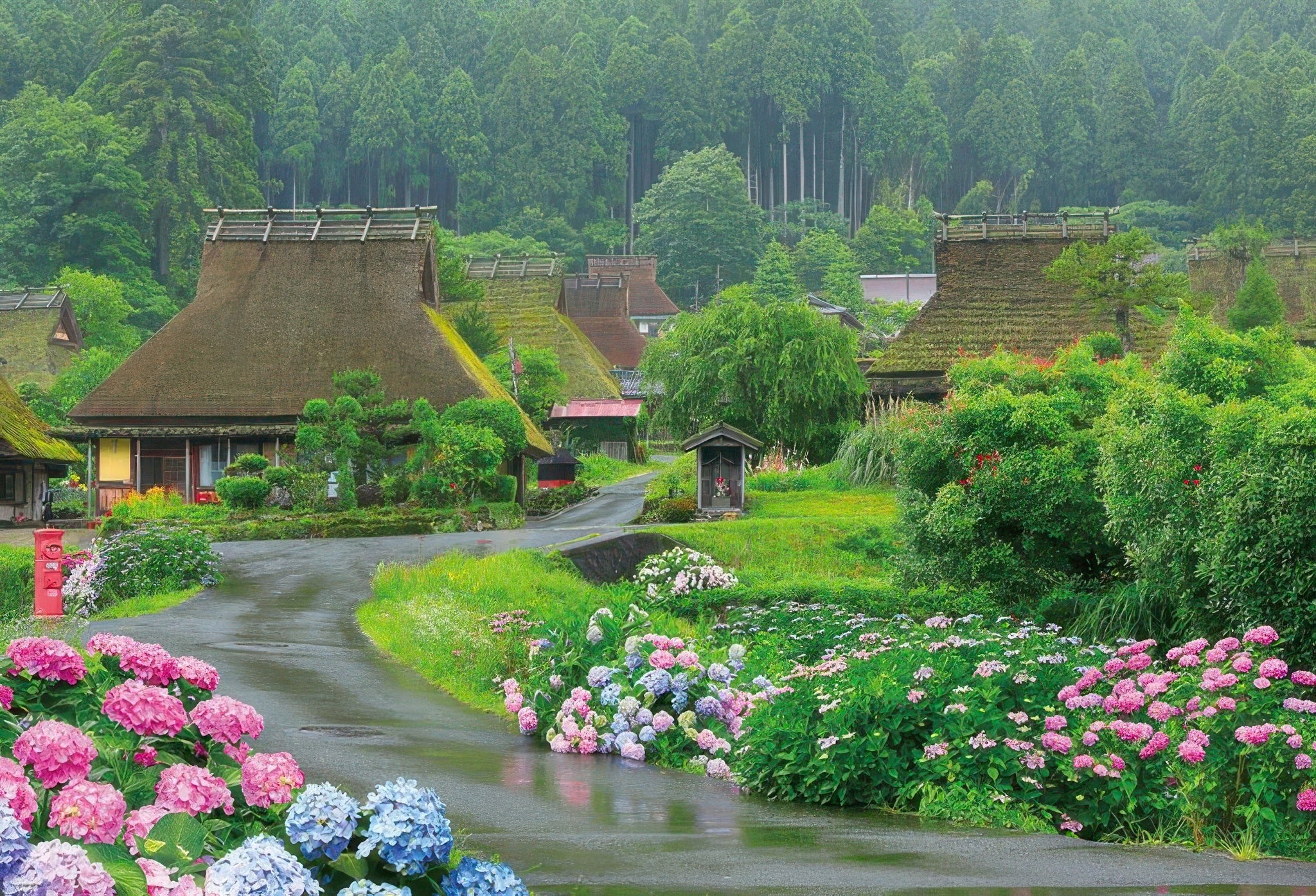 beverly-51-296-scenery-blooming-hydrangea-in-miyama-1000-pieces-jigsaw-puzzle