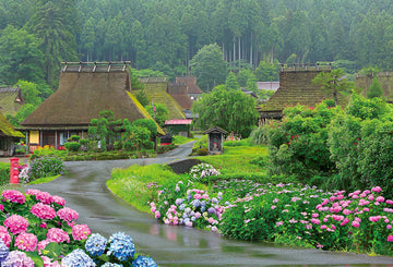 Beverly • Scenery • Blooming Hydrangea in Miyama　1000 PCS　Jigsaw Puzzle