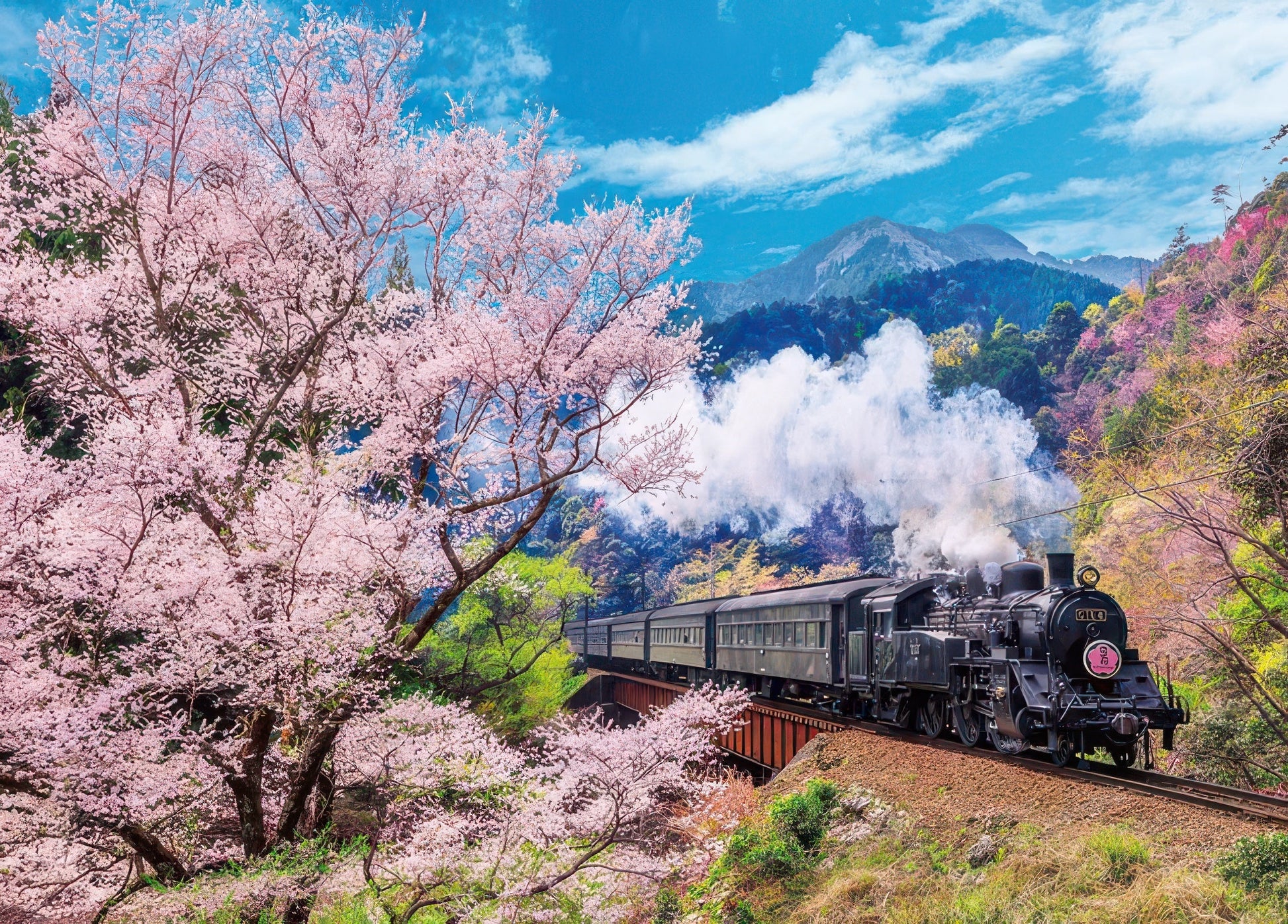 beverly-600-006-scenery-oigawa-railway-and-sakura-600-pieces-jigsaw-puzzle