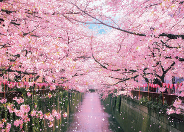 beverly-600-017-meguro-river-cherry-blossom-trees-600-pieces-jigsaw-puzzle