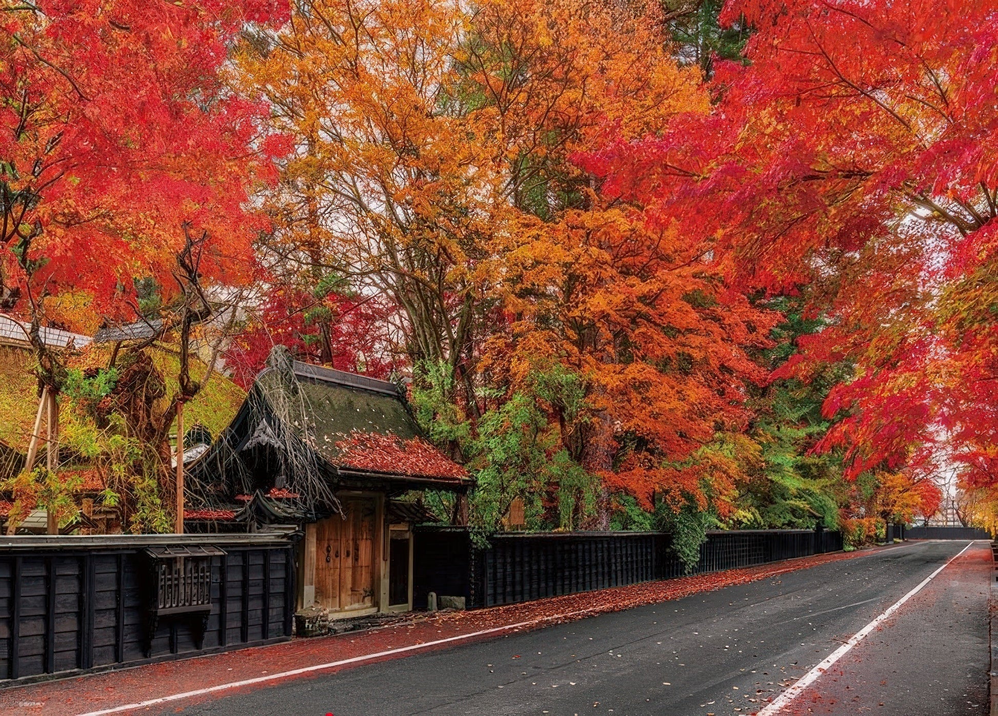 beverly-600-030-kakunodate-samurai-residence-street-dyed-in-autumn-colors-600-pieces-jigsaw-puzzle