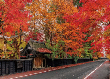 beverly-600-030-kakunodate-samurai-residence-street-dyed-in-autumn-colors-600-pieces-jigsaw-puzzle