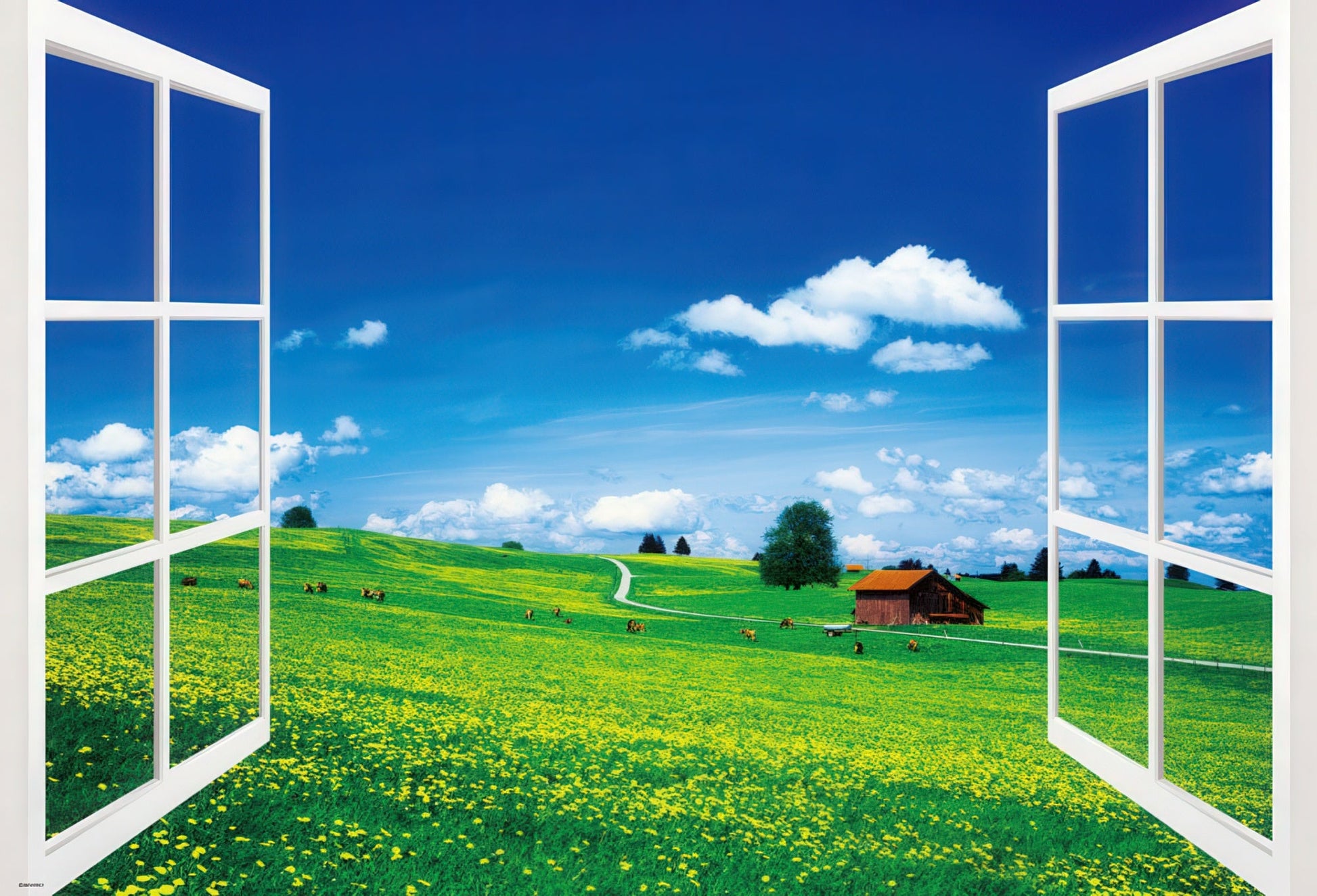 beverly-61-398-field-view---flowery-meadow-1000-pieces-jigsaw-puzzle