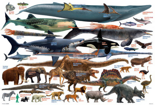 Beverly 61-441　Dinosaur • Let's Compare Giant Creatures!　1000 Pieces Jigsaw Puzzle