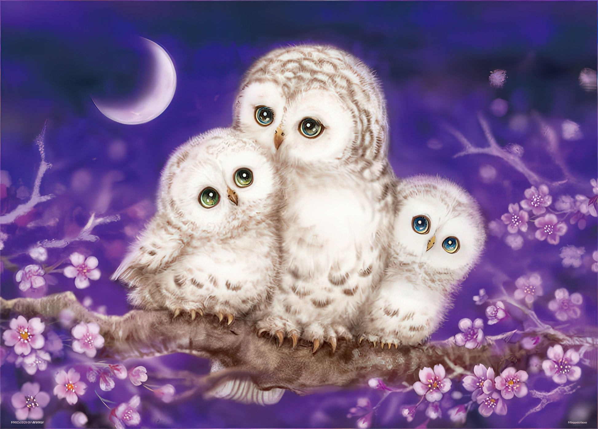 beverly-66-102-warmth---owl-family-600-pieces-jigsaw-puzzle