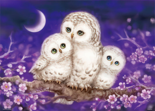 Beverly 66-102　Animal • Owl Family　600 Pieces Jigsaw Puzzle