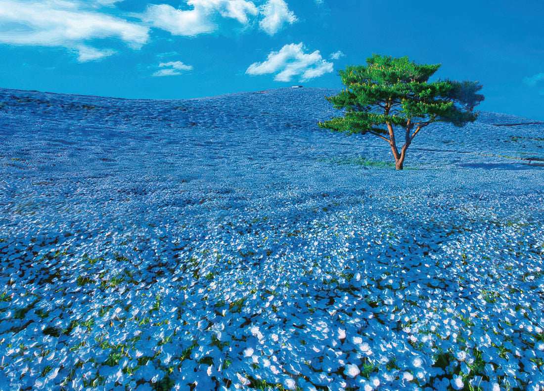 beverly-66-123-nemophila-hill-600-pieces-jigsaw-puzzle