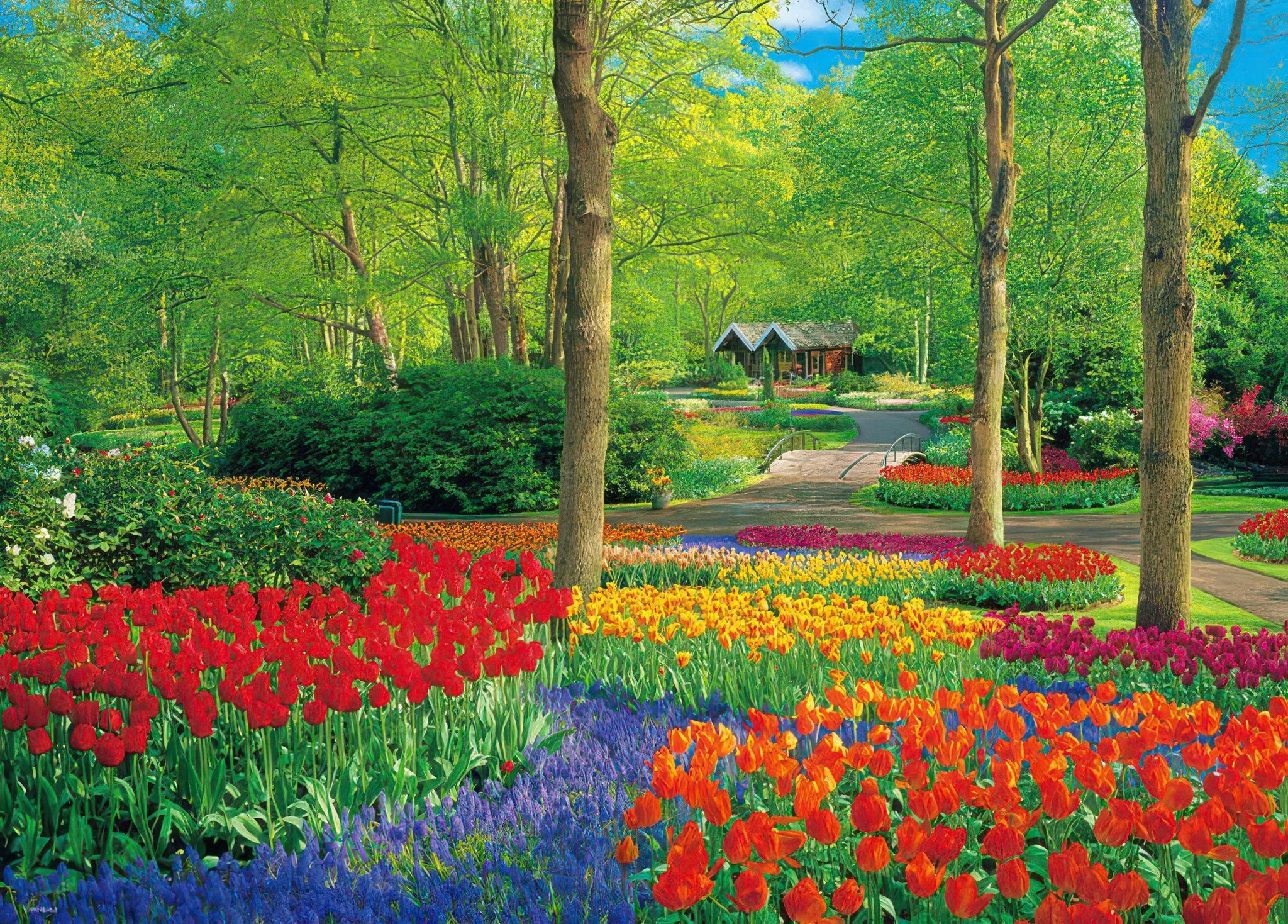 beverly-66-180-keukenhof-park-600-pieces-jigsaw-puzzle